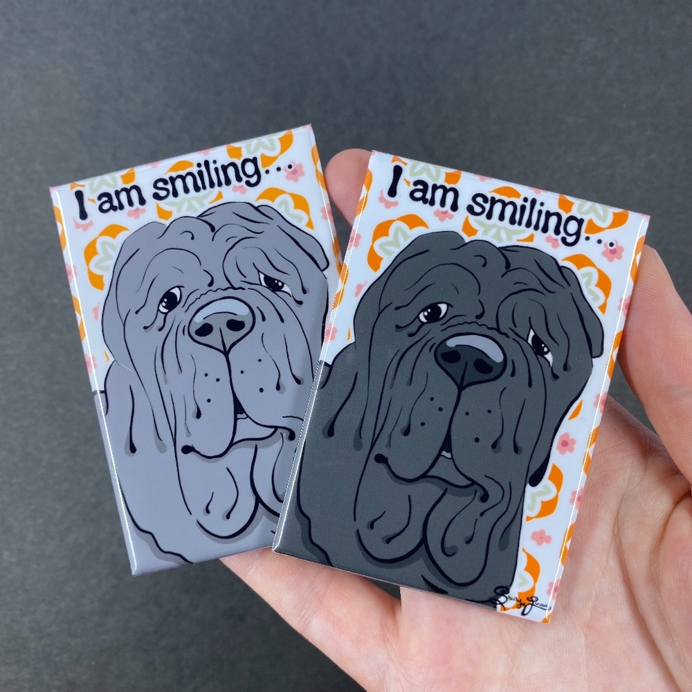 Funny Neapolitan Mastiff Magnet, 2 Colors Available - Handmade 2x3"
